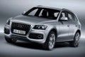 Audi Q5 S line: Dezidierter Sport-Look für den SUV