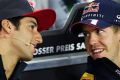 Daniel Ricciardo hat keine Angst vor dem viermaligen Weltmeister Sebastian Vettel