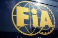 Die FIA Foundation würde von einem Prozess-Sieg Max Mosleys profitieren