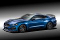 Ford Mustang Shelby GT350R (2015)