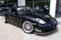 FVD Porsche Cayman S: Genmanipuliertes Reptil