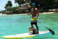 Immer mit dabei, auch auf dem Surfbrett: Lewis Hamiltons Hund Roscoe