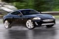 Jaguar XK: Das wilde Tier auf Speed optimiert