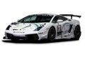 Lamborghini Gallardo LP560-4 Super Trofeo: Für schnelle Rennen gebaut