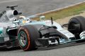 Lewis Hamilton kam in Jerez nur am Vormittag zum Fahren