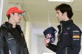 Mark Webber und Jenson Button erwarten Spannung in Ungarn