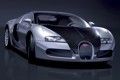 Nacktes Vollblut: Bugatti Veyron 16.4 Pur Sang
