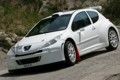 Peugeot 207: Rallye-Version Super 2000 im Test